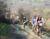 duatlon_2_cangasdeonis_08_42_small.jpg