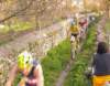 duatlon_2_cangasdeonis_08_86_small.jpg